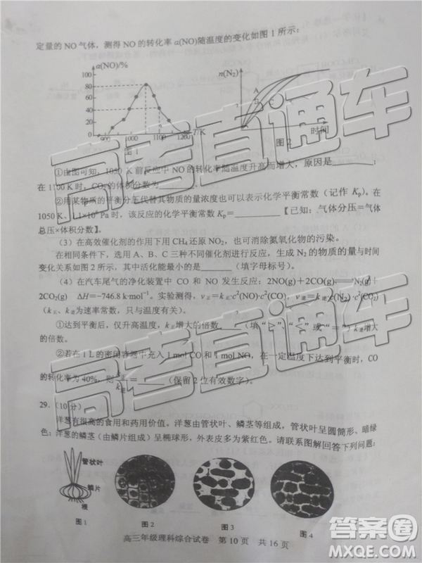 2019年武漢五月第二次調(diào)研考試?yán)砭C試題及答案