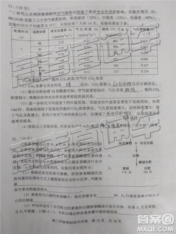 2019年武漢五月第二次調(diào)研考試?yán)砭C試題及答案