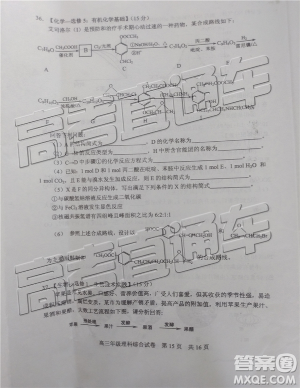 2019年武漢五月第二次調(diào)研考試?yán)砭C試題及答案