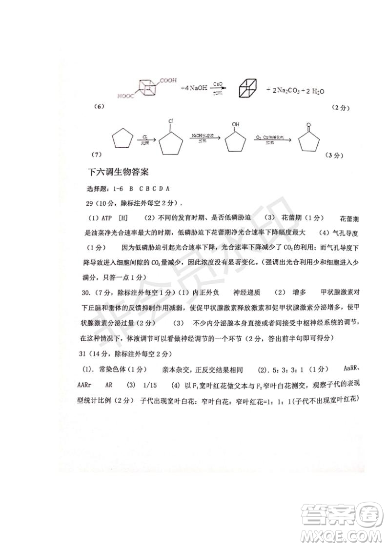 河北省衡水中學(xué)2019屆高三下學(xué)期六調(diào)考試文理綜試題及答案