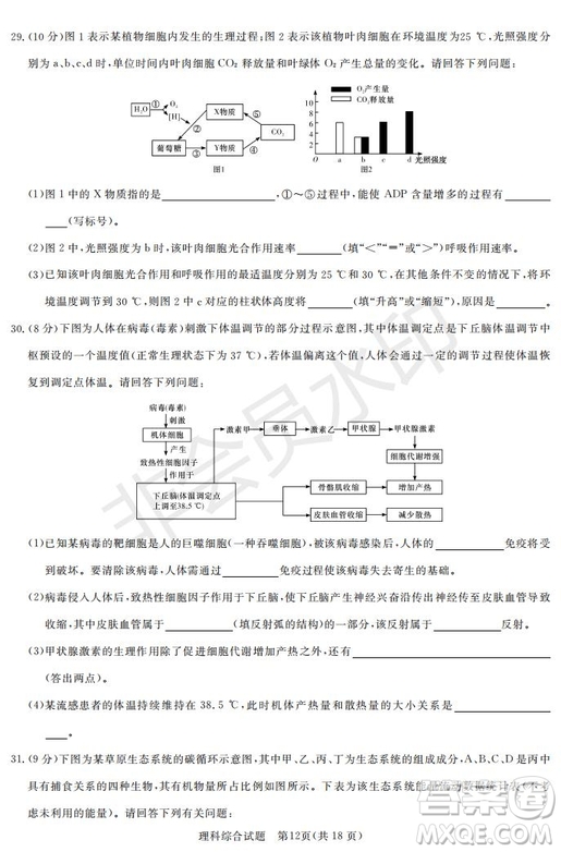 2019年湖南省長(zhǎng)沙一中師大附中雅禮中學(xué)長(zhǎng)郡中學(xué)五月聯(lián)考理綜試卷答案