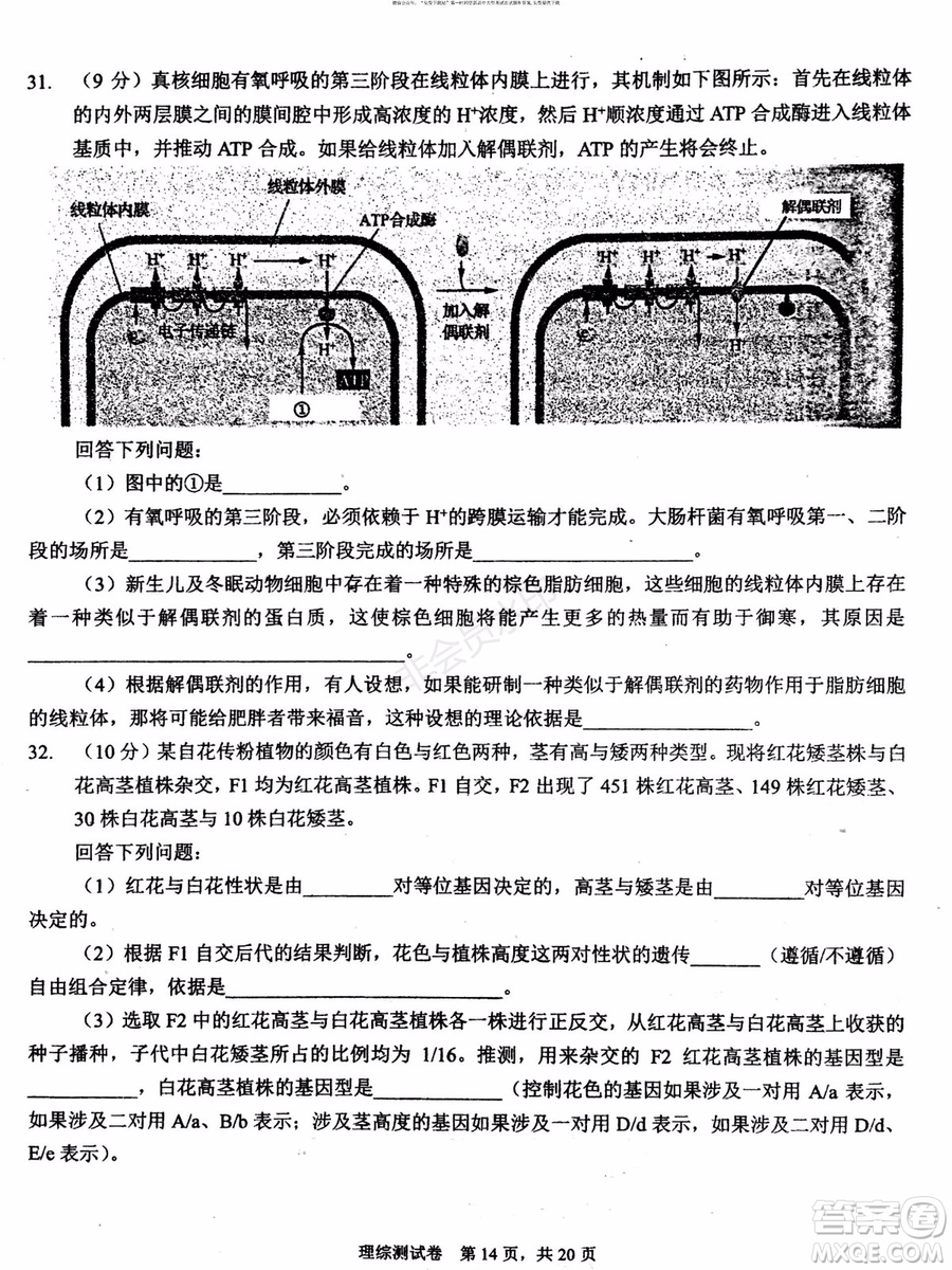 2019年贏鼎教育高考終極預(yù)測卷全國I卷理科綜合試題及答案