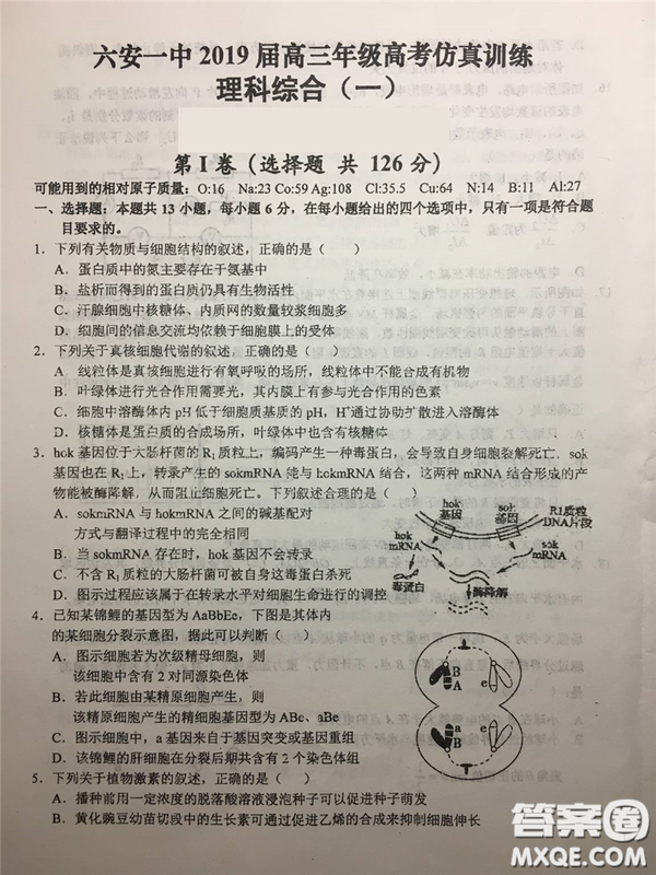 2019年安徽省六安一中高考仿真訓練一文理綜試題及答案