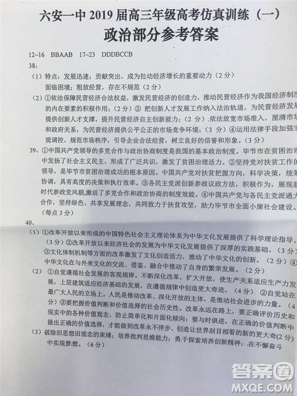 2019年安徽省六安一中高考仿真訓練一文理綜試題及答案