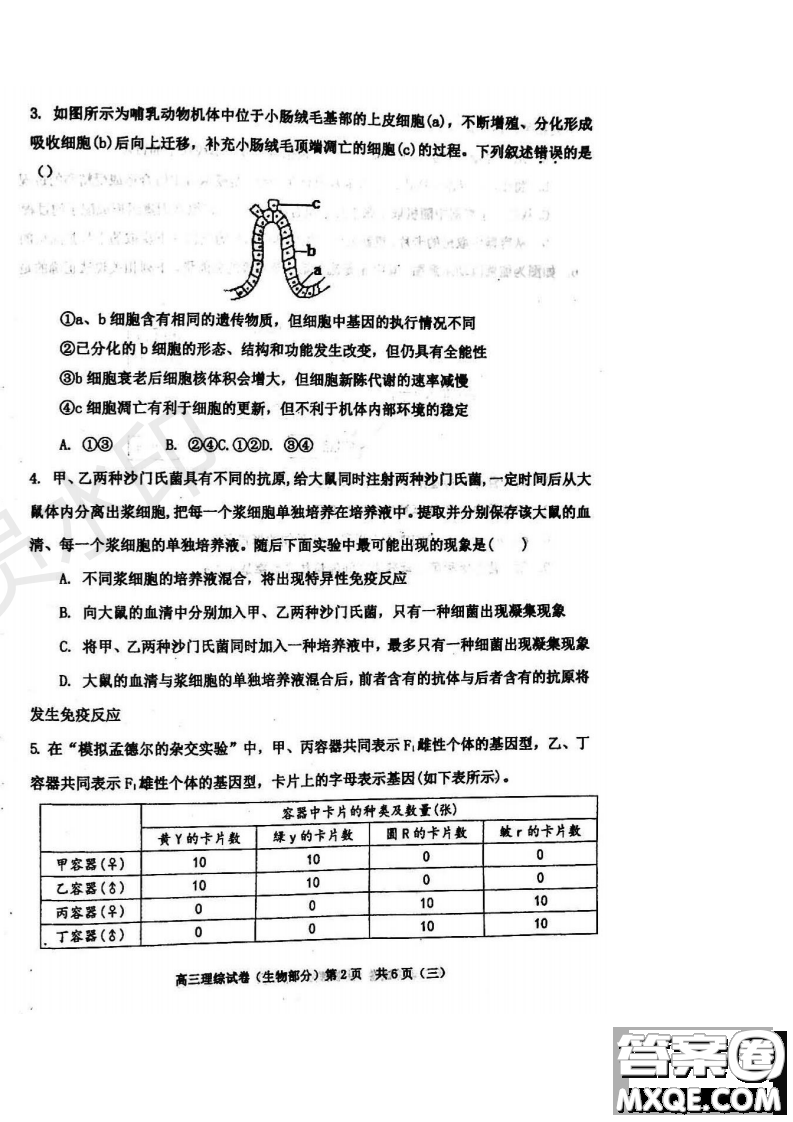 2019年天津河西三調(diào)理綜試題及答案