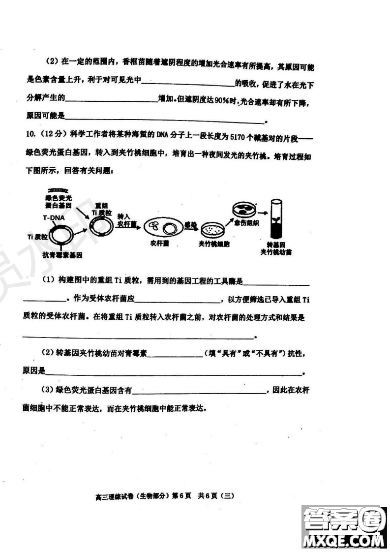 2019年天津河西三調(diào)理綜試題及答案