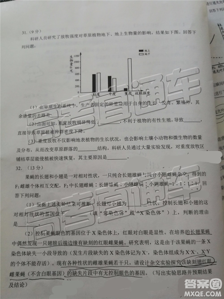 2019年日照三模理綜試題及參考答案