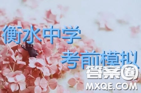 2019年衡水中學(xué)高三考前模擬卷文理綜試題及參考答案