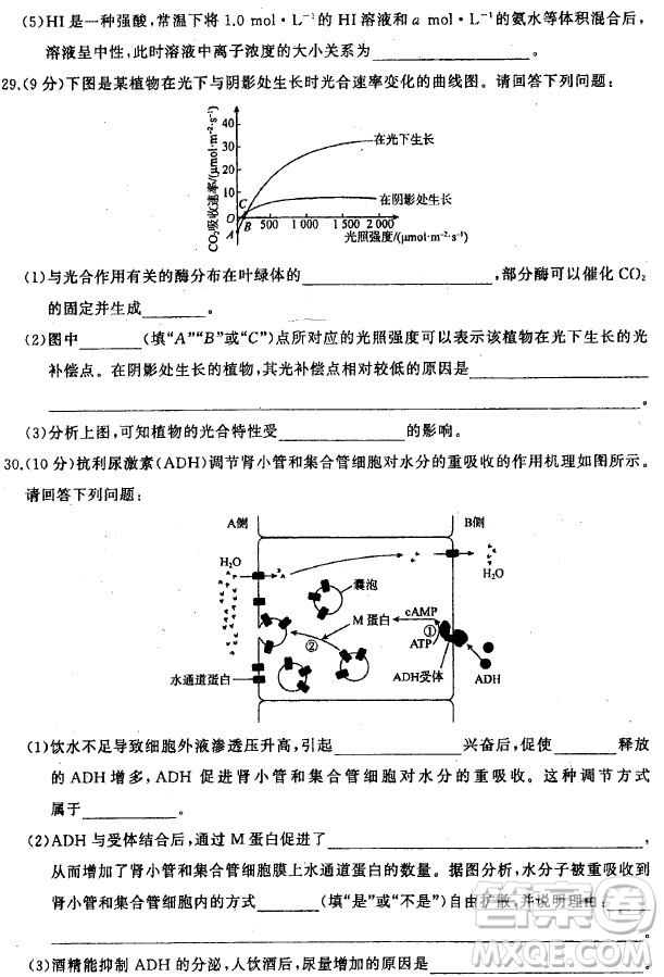 2019年衡水中學終極押題卷理綜試題及答案