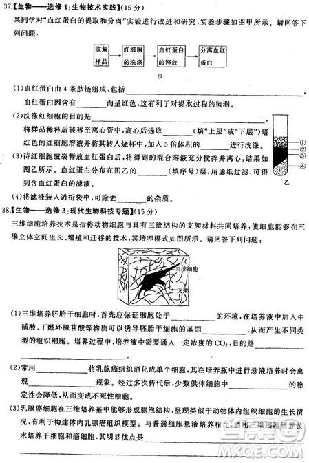 2019年衡水中學終極押題卷理綜試題及答案