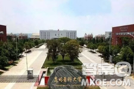 2020高考493分左右能上什么大學(xué) 493分文理科能報哪些學(xué)校