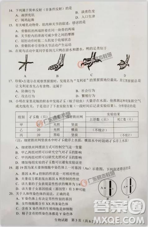 2019年廣東中考生物試卷及參考答案