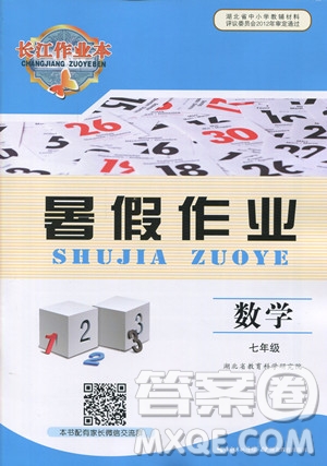 2019年長江作業(yè)本暑假作業(yè)初中七年級數(shù)學人教版參考答案