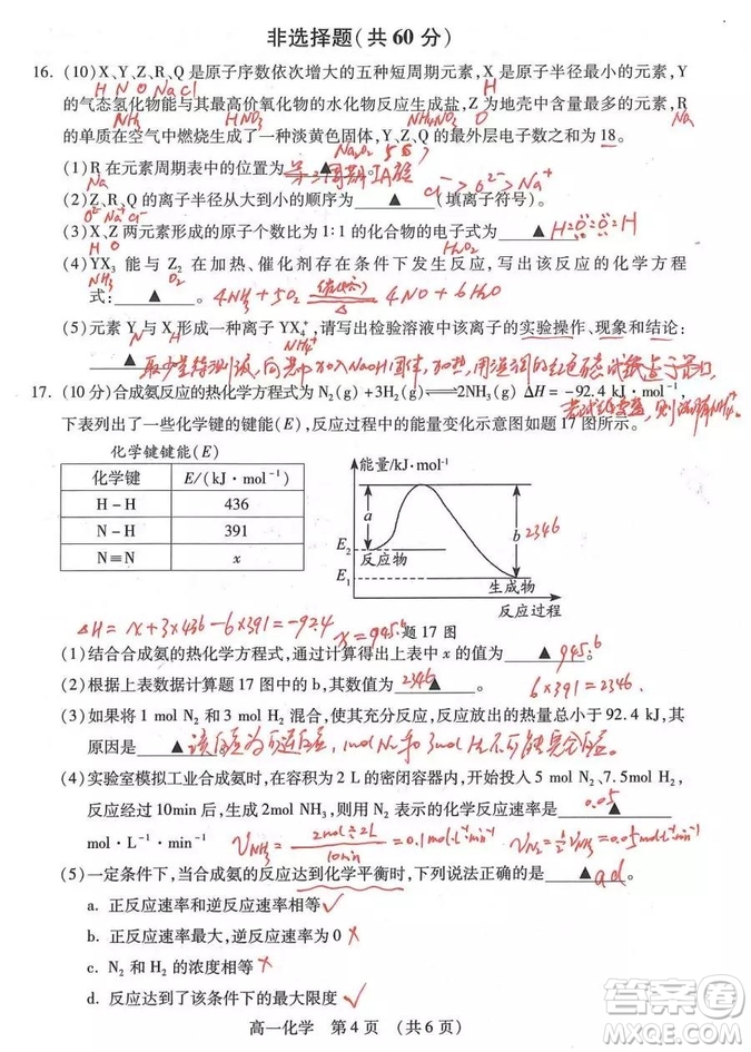 2019年蘇州市高一下學(xué)期化學(xué)期末試題及答案解析