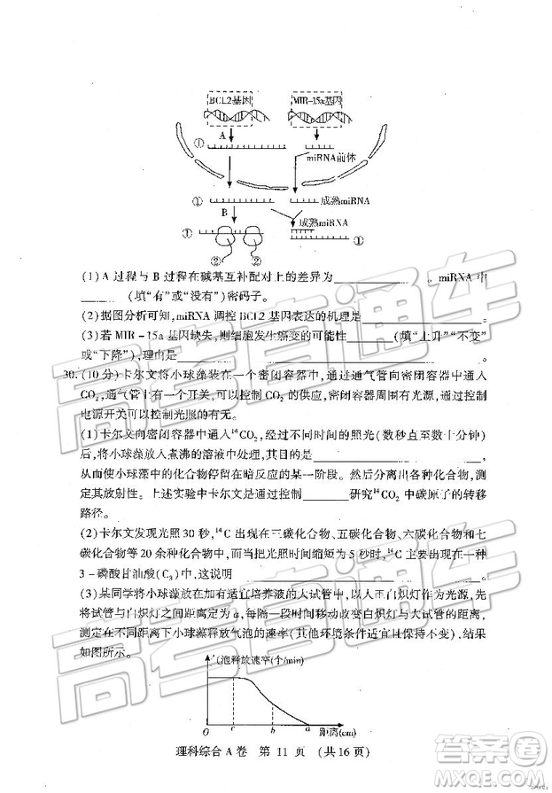 2019年高考模擬豫科名校大聯(lián)考A卷文理綜試題及答案