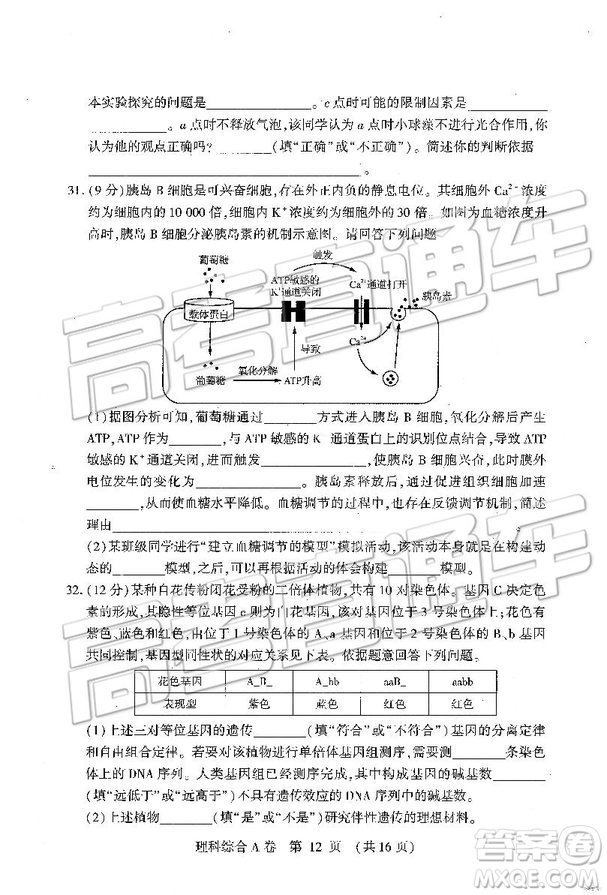 2019年高考模擬豫科名校大聯(lián)考A卷文理綜試題及答案