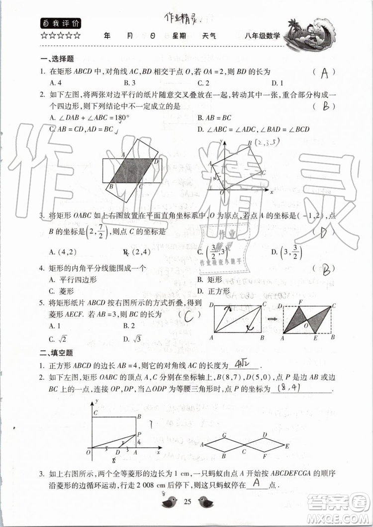 北京教育出版社2019年暑假樂園八年級(jí)數(shù)學(xué)人教版河南專用參考答案