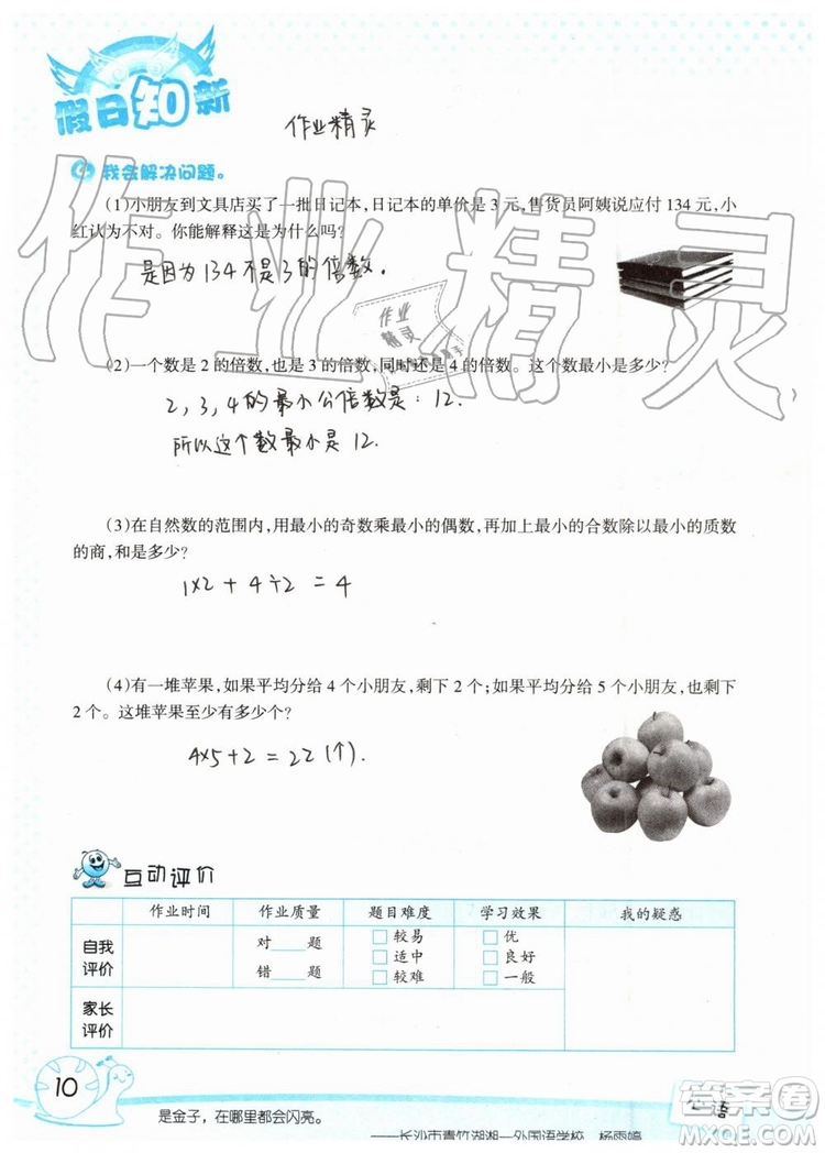 暑假學(xué)習(xí)與生活2019年假日知新五年級(jí)數(shù)學(xué)參考答案