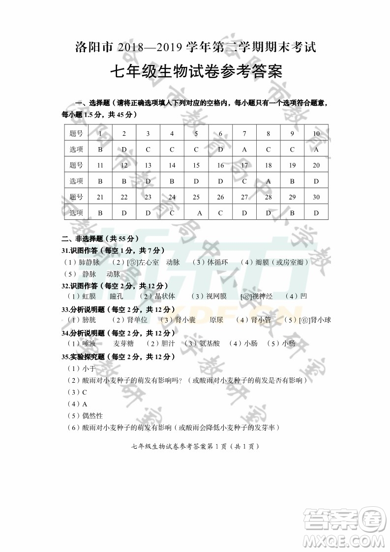 2019年洛陽初中七年級道德與法治地理生物期末考試答案