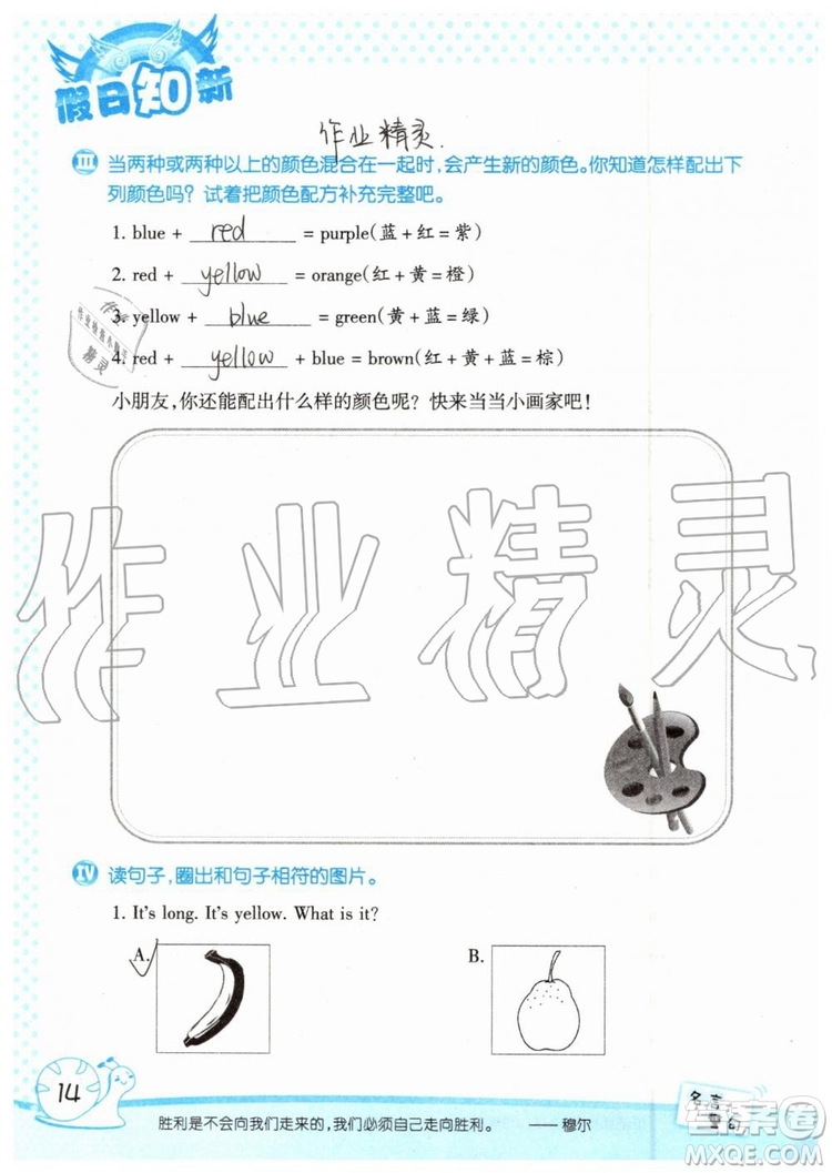 2019年暑假學(xué)習(xí)與生活假日知新三年級(jí)英語(yǔ)學(xué)習(xí)版參考答案