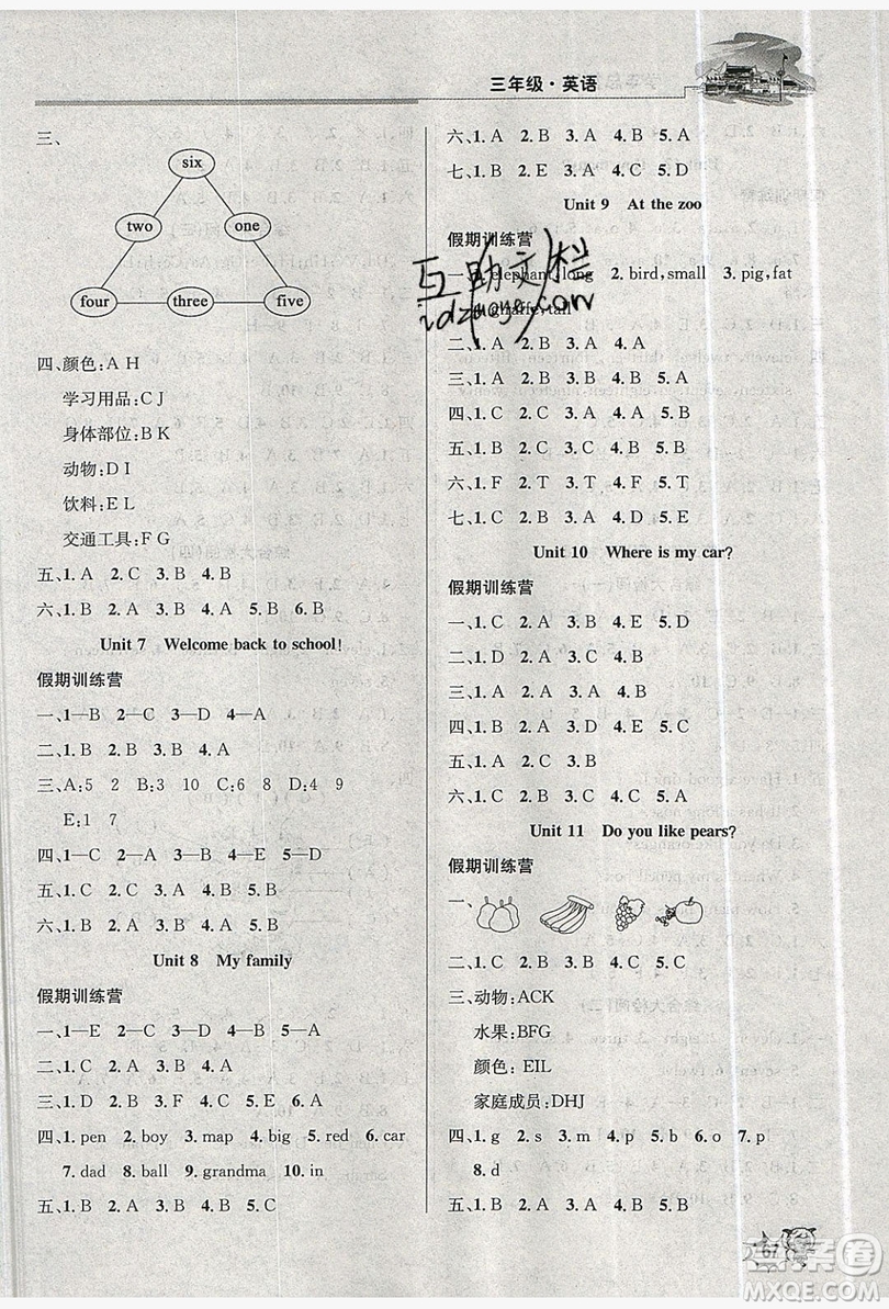 2019年度總復習精要復習總動員三年級英語人教版答案