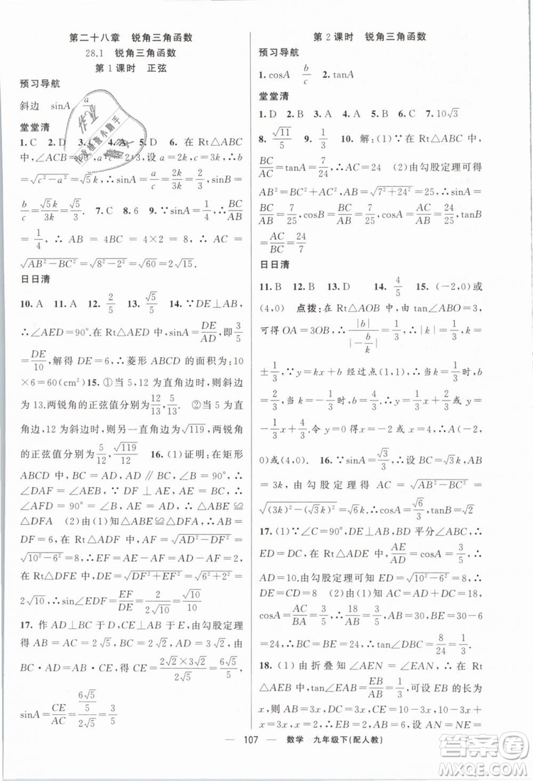 2019年四清導航九年級數(shù)學下冊人教版答案