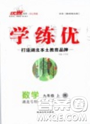 湖北專用2019秋優(yōu)翼叢書學(xué)練優(yōu)數(shù)學(xué)九年級上冊RJ人教版參考答案