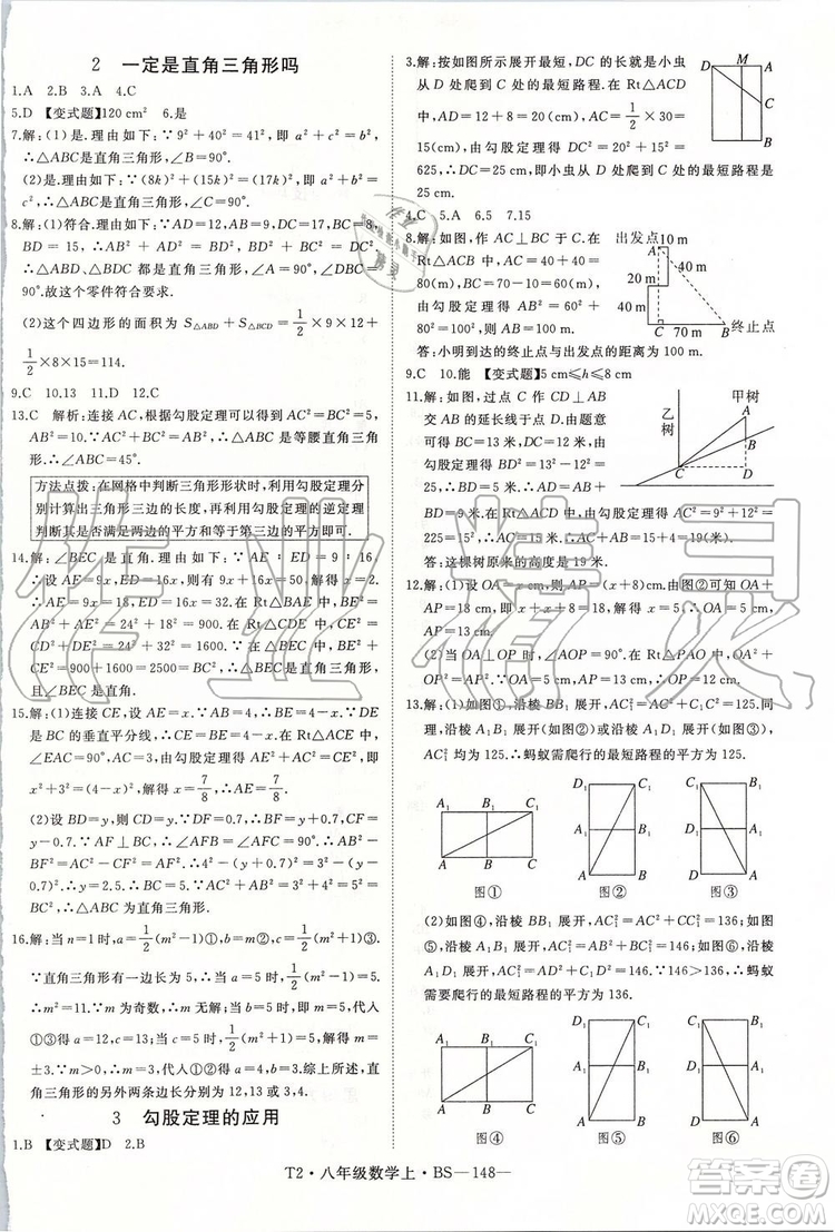 北師大版2019年優(yōu)翼學練優(yōu)八年級數(shù)學上冊參考答案