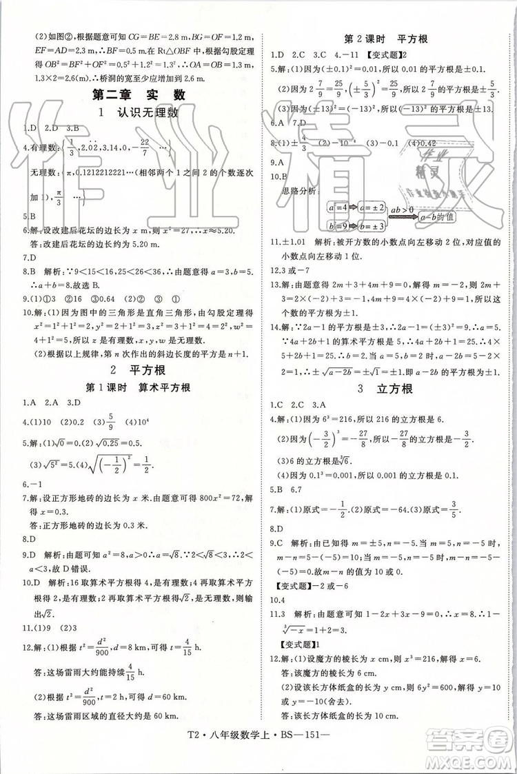 北師大版2019年優(yōu)翼學練優(yōu)八年級數(shù)學上冊參考答案