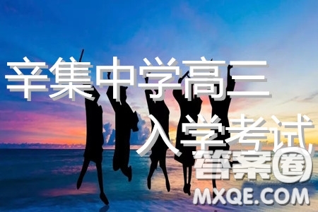 2020屆河北省辛集中學(xué)高三上學(xué)期入學(xué)考試文理數(shù)試題及答案