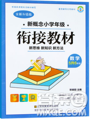 2019新概念小學年級暑假銜接教材5升6年級數學參考答案