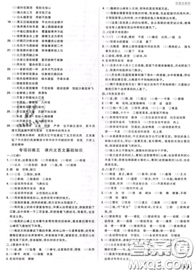 2019年新版初中必刷題八年級上冊語文人教版答案