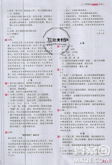 2019秋新版木頭馬閱讀小卷小學(xué)語(yǔ)文6年級(jí)A版參考答案