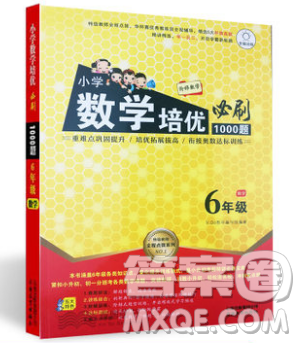 全腦訓(xùn)練2019小學(xué)數(shù)學(xué)培優(yōu)必刷1000題六年級(jí)參考答案