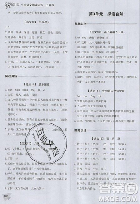 2019新版銳閱讀小學(xué)語文閱讀訓(xùn)練100篇五年級通用版參考答案