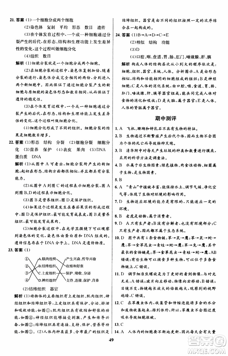 2019年初中同步學考優(yōu)化設(shè)計生物七年級上冊RJ人教版參考答案