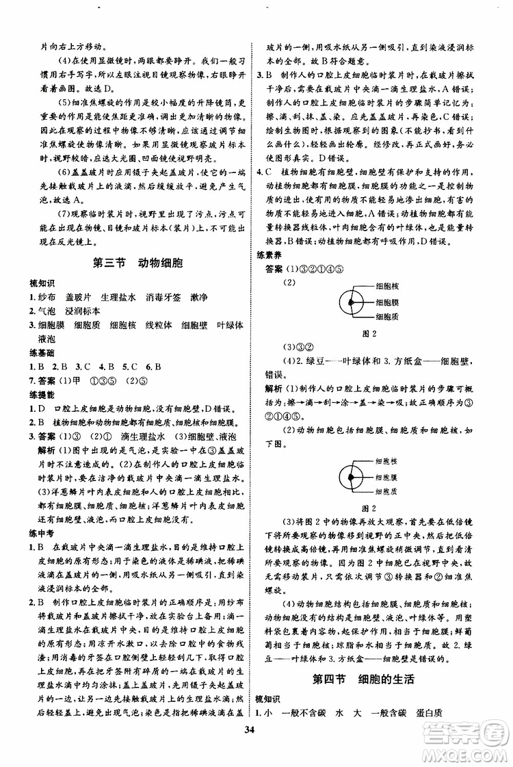 2019年初中同步學考優(yōu)化設(shè)計生物七年級上冊RJ人教版參考答案