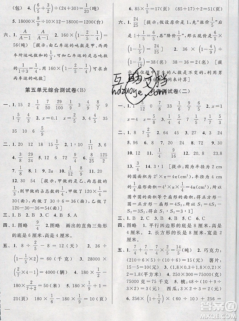 2019新版亮點給力大試卷六年級上冊數(shù)學(xué)蘇教版答案