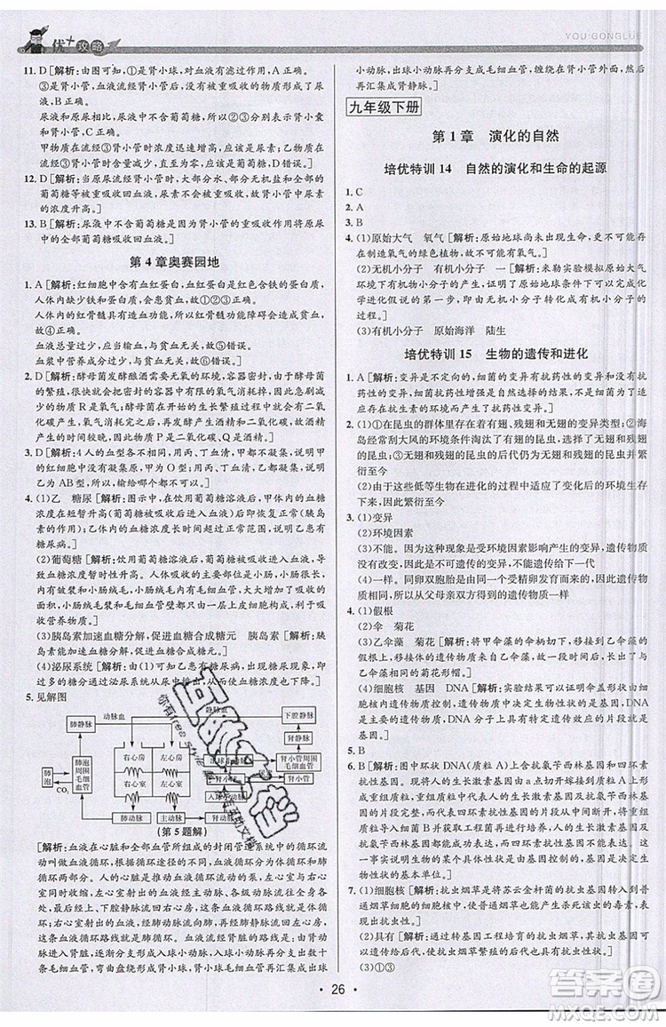 2019新版優(yōu)+攻略銜接中考版九年級科學(xué)全一冊ZJ浙教版參考答案