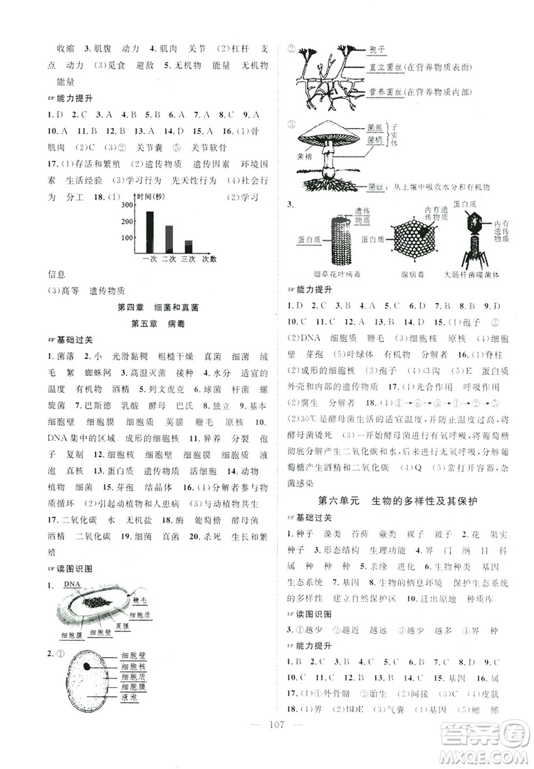 智慧萬(wàn)羽2019名師學(xué)案分層進(jìn)階學(xué)習(xí)八年級(jí)生物上冊(cè)答案