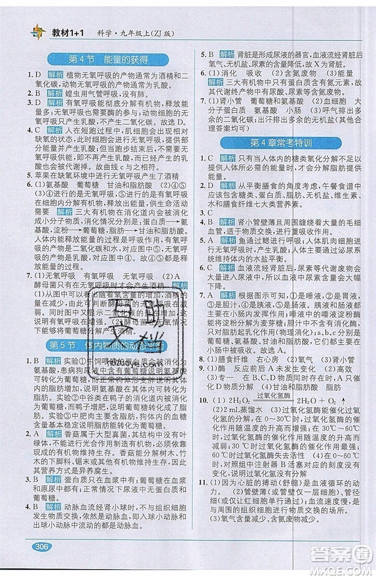 全能學(xué)練2019秋教材1+1優(yōu)化創(chuàng)新訓(xùn)練科學(xué)九年級上冊ZJ版浙教版參考答案