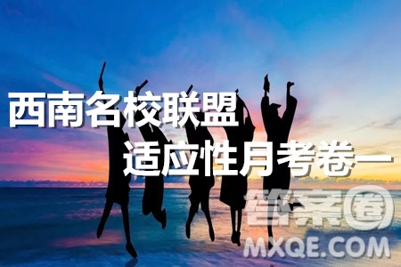 2020屆西南名校聯(lián)盟高考適應(yīng)性月考卷一理科數(shù)學(xué)試題及答案