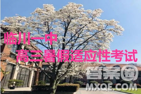 臨川一中2019-2020年高三暑假適應(yīng)性考試語(yǔ)文試題及答案