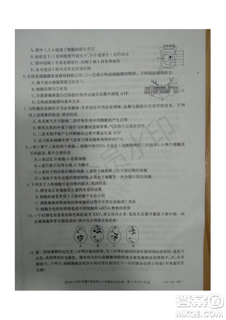 2019~2020年度河南省高三入學摸底考試生物試題及答案