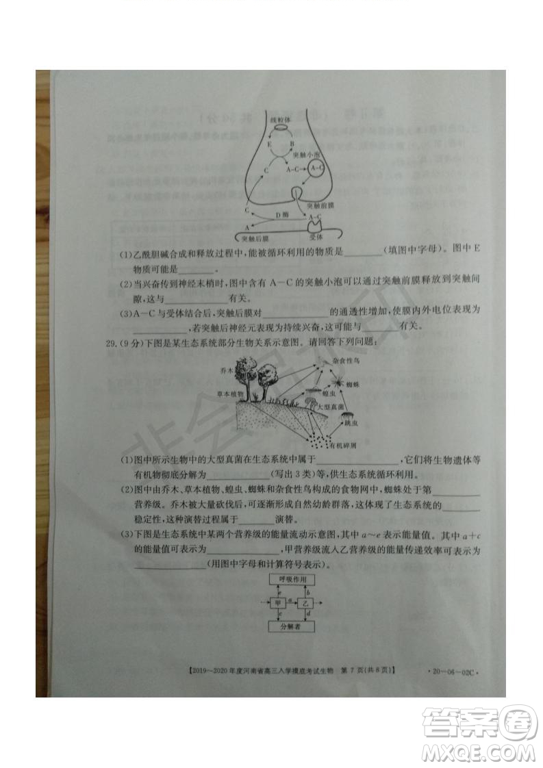 2019~2020年度河南省高三入學摸底考試生物試題及答案