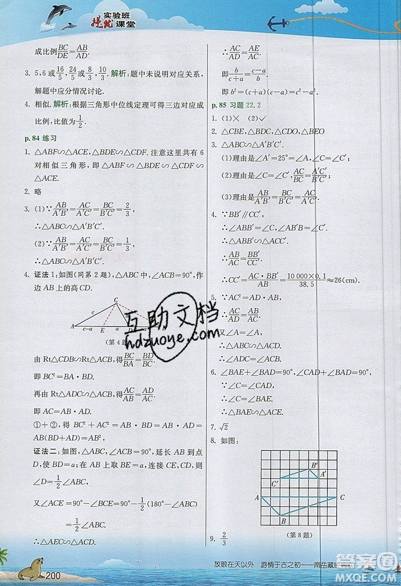 江蘇人民出版社2019春雨教育實驗班提優(yōu)課堂數(shù)學九年級上冊SHKJ滬科版參考答案