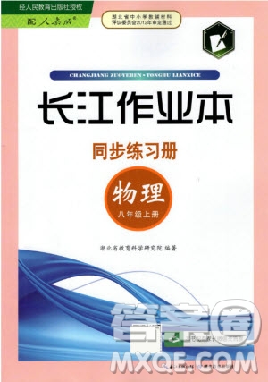 2019年長江作業(yè)本同步練習(xí)冊物理八年級上冊人教版答案