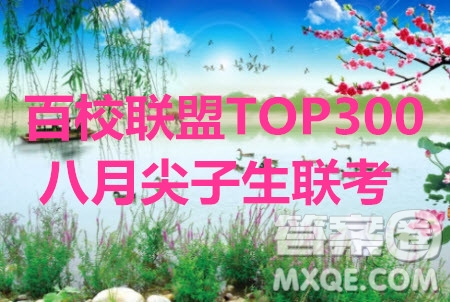 百校聯(lián)盟2020屆TOP300八月尖子生聯(lián)考全國I卷理數(shù)答案