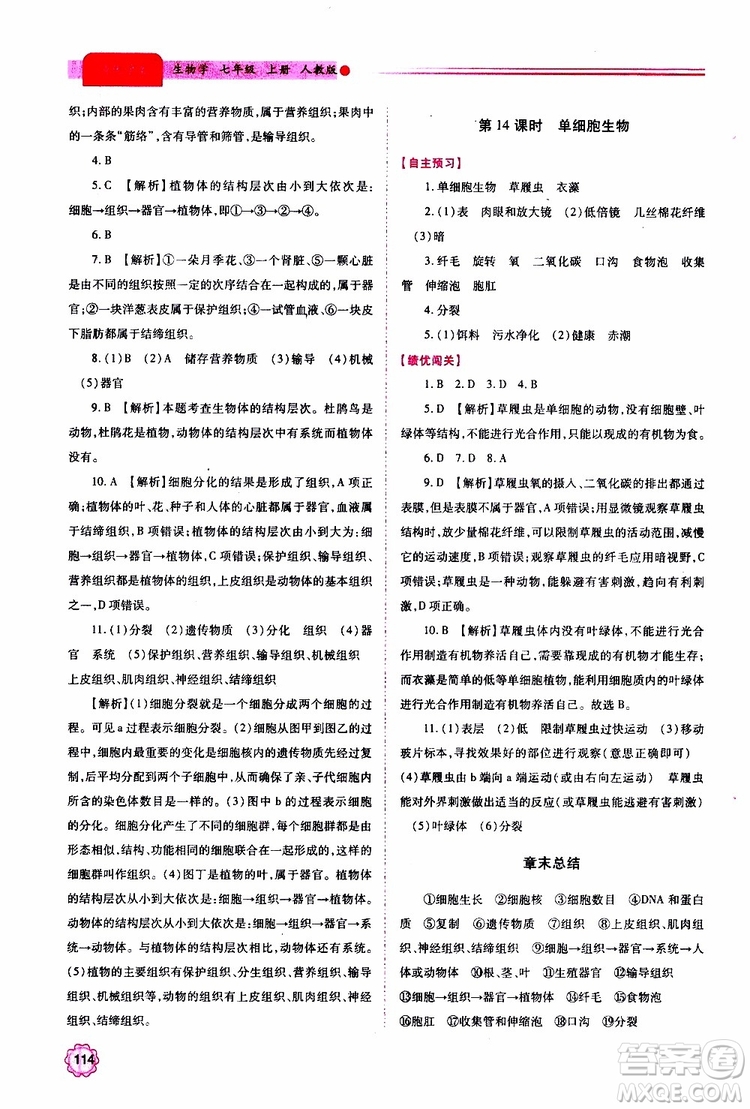 公告目錄教輔2019年績優(yōu)學案生物學七年級上冊人教版參考答案