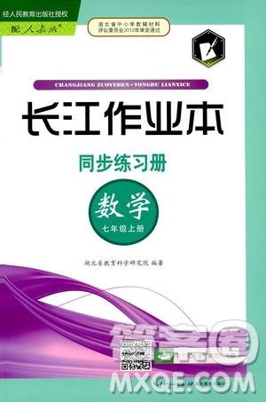 2019秋長江作業(yè)本同步練習(xí)冊數(shù)學(xué)七年級上冊人教版參考答案